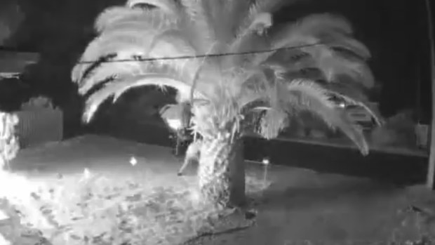 Aldinga Beach firebombing