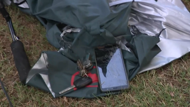 Michael Day and his dog Messi were hit by lightning in WA