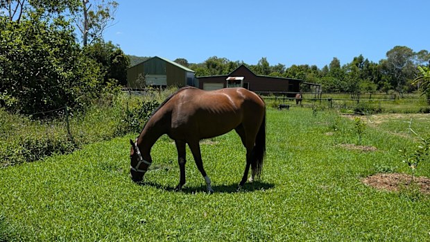 Farleigh Farms pastures horses and sells manure to the public.