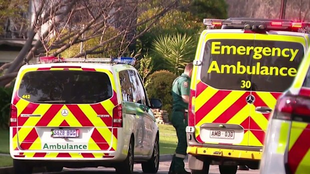 Netherby crash: 18-month-old girl dies after being struck by ute in ...