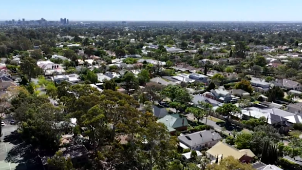 South Australians wanting to buy property wouldn't have to pay stamp duty under an ambitious plan announced by the state opposition today.