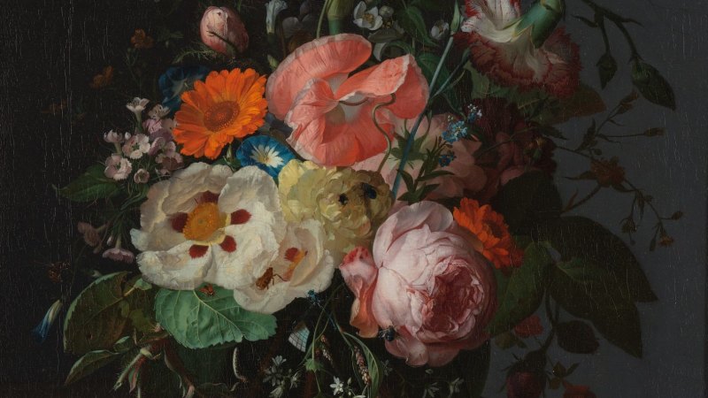 Rembrandt and the Dutch Golden Age: What flower paintings can teach us