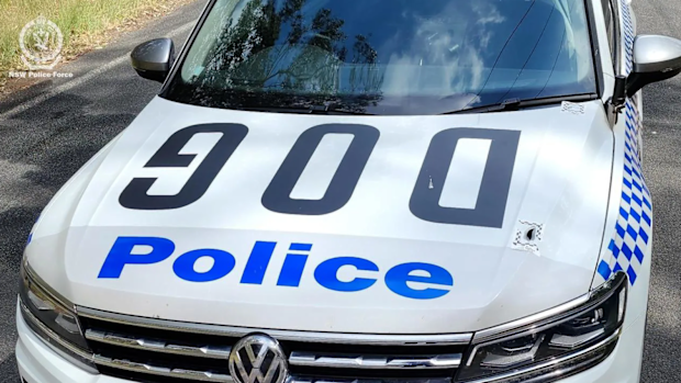 A police image shows holes in the bonnet of a dog squad vehicle