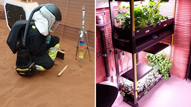 Inside the habitat, the CHAPEA 1 crew conducts "Marswalks" (left) and grows crops using a system with appropriate lighting, water and nutrients for growing plants indoors.