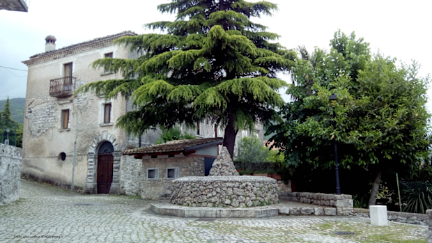 Giant elm tree in Italian village, Campodimele 