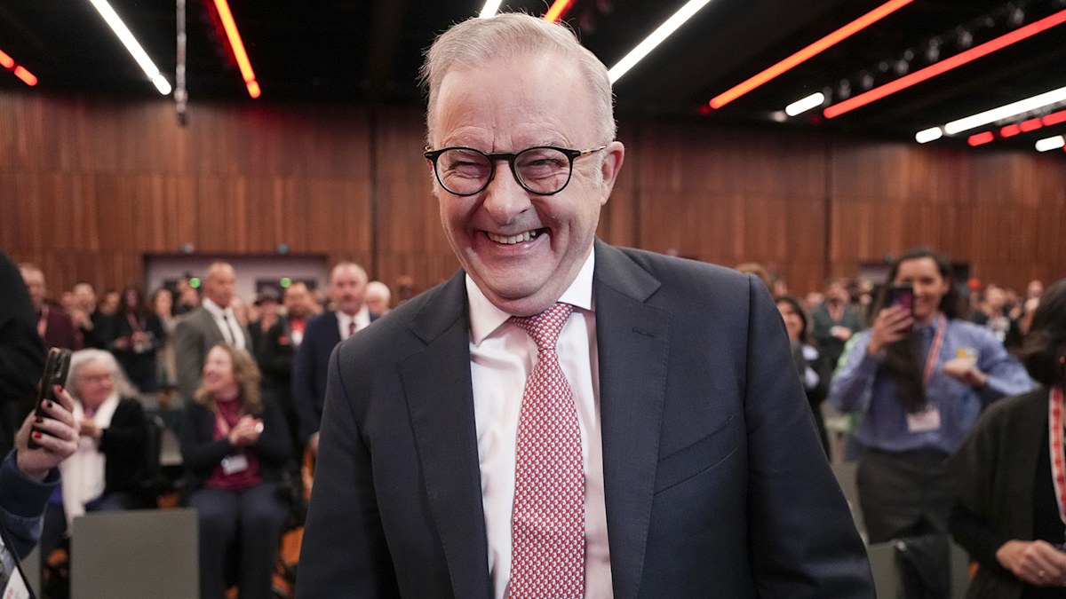 One Nation would form federal opposition, Labor re-elected, according ...