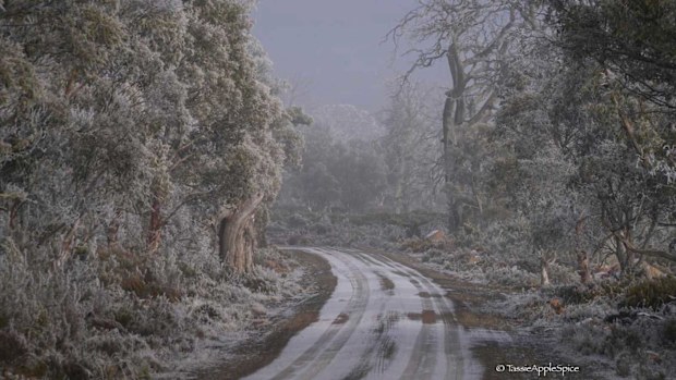 The otherwordly beauty of Liawenee, which this week has been the coldest place in Australia. 