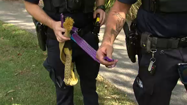 Rope swing snaps in Maudsland injuring young boy