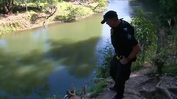 Rope swing snaps in Maudsland injuring young boy