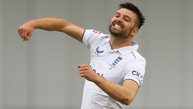 England's Mark Wood celebrates after taking a wicket.