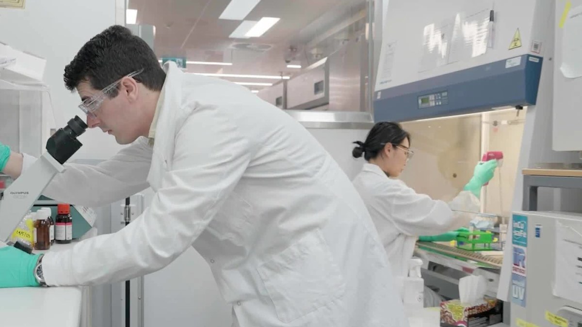 Melbourne scientists make world-first discovery to slow the effects of ...