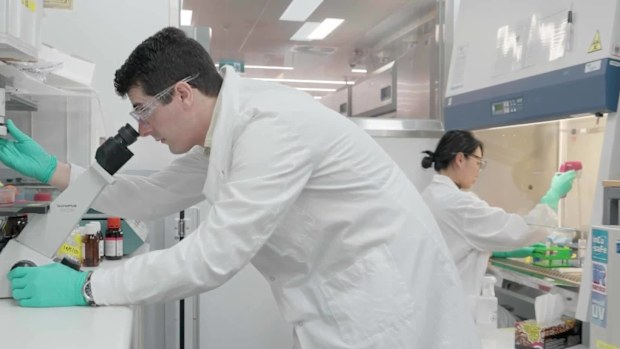 Melbourne scientists have made a world-first discovery to tap into the body's fountain of youth and slow the effects of ageing.