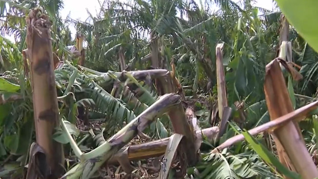Ex-Tropical Cyclone Narelle updates: Exmouth 'trashed' and cut off ...