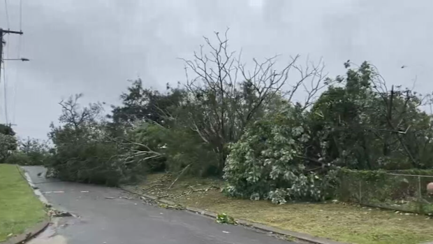 Tropical Cyclone Narelle Queensland