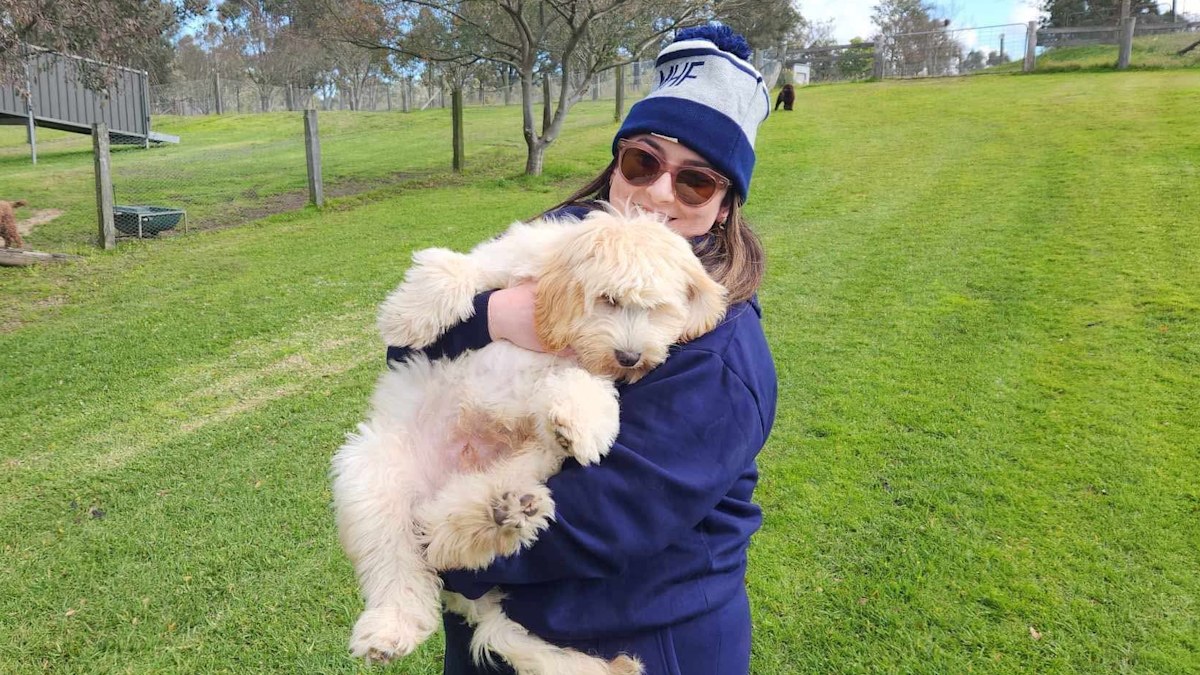 Dog attack: NSW woman Olivia's pup Enzo was 'brutally' mauled by two ...