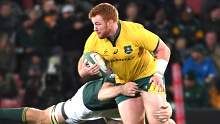 Harry Johnson-Holmes of Australia during the The Rugby Championship.