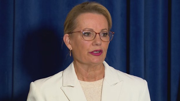 Liberal leader Sussan Ley said she was disappointed with the split from the Nationals.