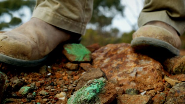 SolGold now a 'tier one' copper discovery