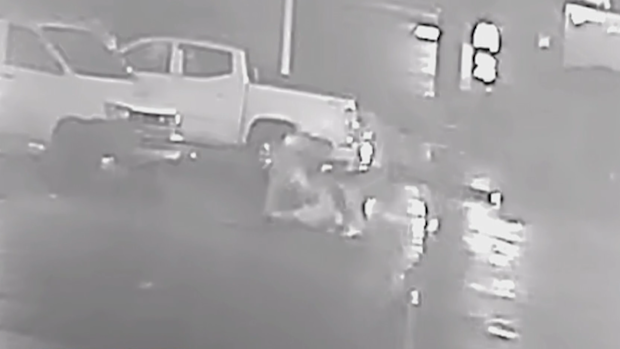 Footage of alleged brawl in Sydney's west.