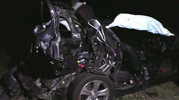 A man has faced court after two children were killed in a crash involving an emu in South Australia. 