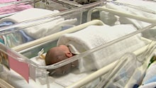 WA's birth rate is plunging.