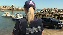 South Australia's recreational fishing community is in uproar after the state government imposed new catch limits.
