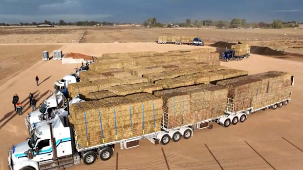 Volunteers truck in relief for drought-stricken farmers as weather forecast finally brings good news
