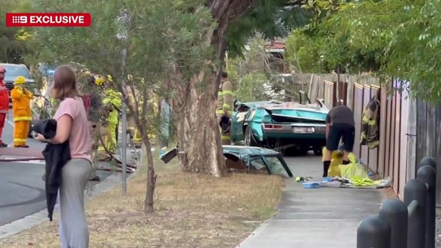 A man has been hospitalised after crashing his car into a fence and tree on a suburban street in Narre Warren, southeast Melbourne.
