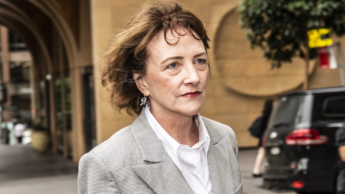 Ministers 'covering themselves' after Higgins incident, court hears ...