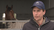 Ballarat trainer Mitch Freedman stands with Cox Plate runner Attrition.