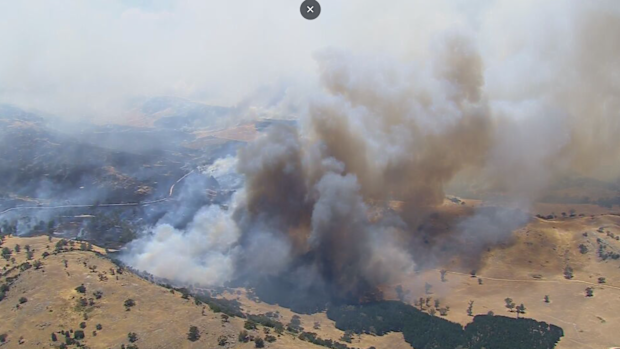 Longwood Bushfire