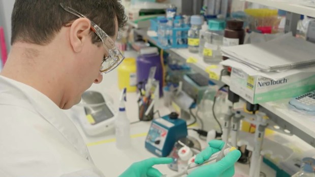 Melbourne scientists have made a world-first discovery to tap into the body's fountain of youth and slow the effects of ageing.
