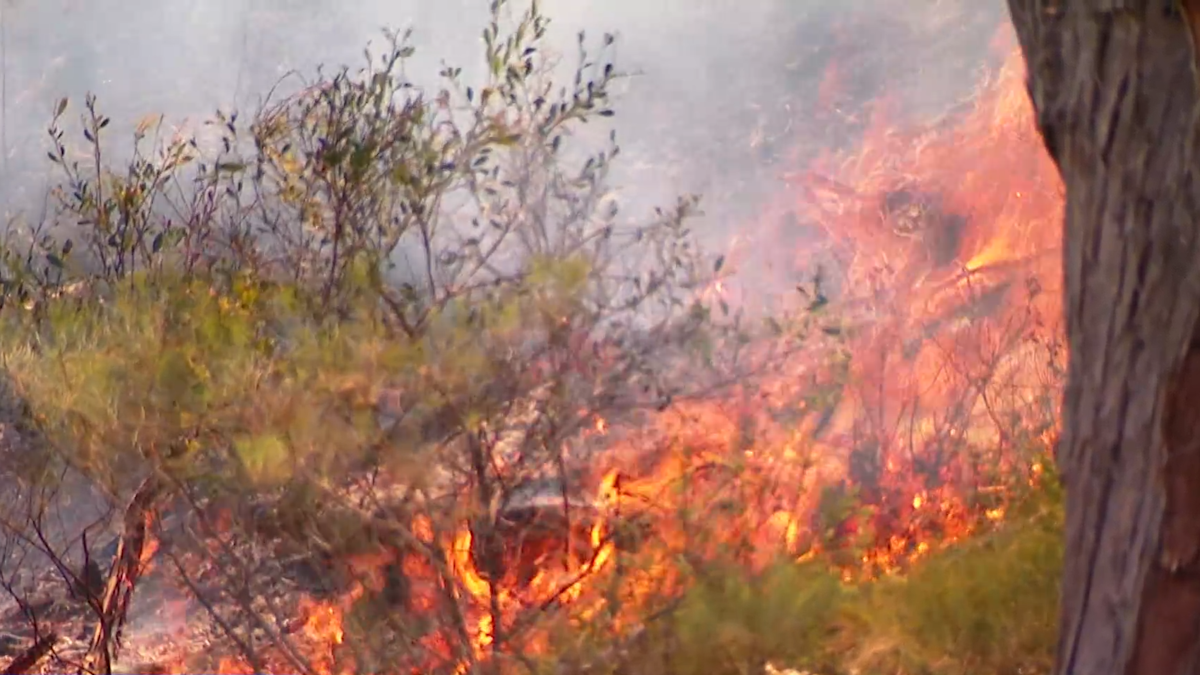 Fire danger seasons brought forward as South Australia braces for ...