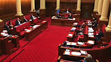 A controversial bill that would have outlawed late-term abortions in South Australia has been voted down after a night of parliamentary chaos. 