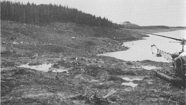 South side of Lituya Bay, soon after the tsunami. This trimline is 54-metres above sea level and 304-metres from the high tide mark. 