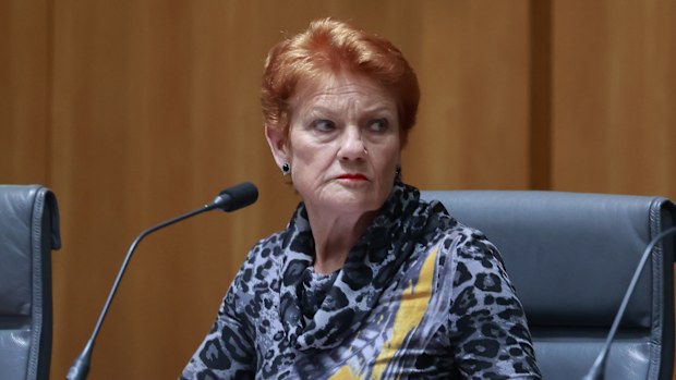 Pauline Hanson changes party name as polling support surges | Nine.com.au