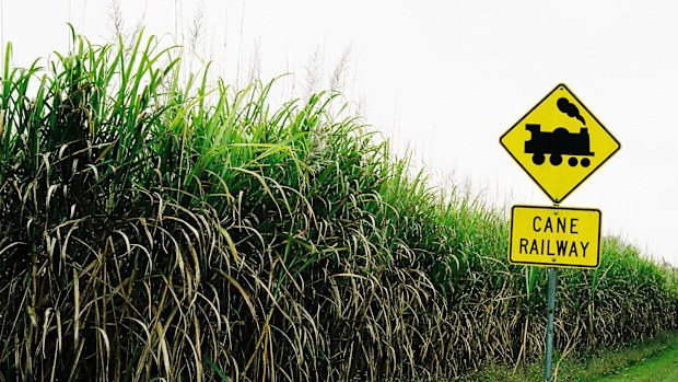 Sugar row and Productivity Commission report threaten to divide the ...