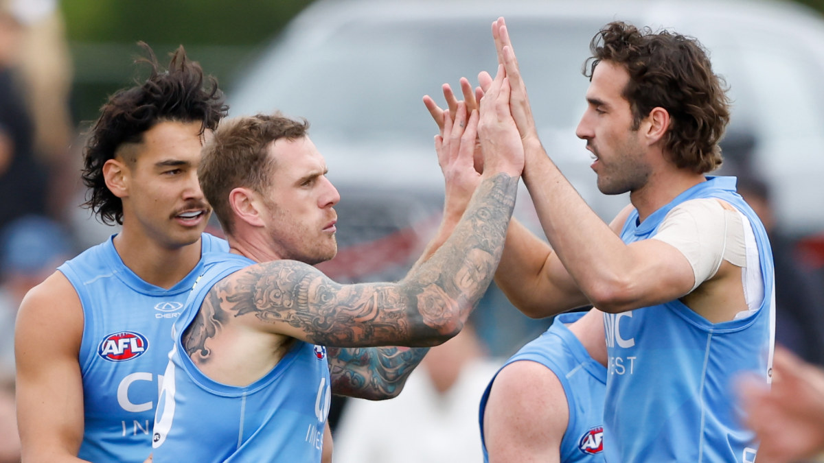 AFL News 2024 Tim Membrey mental health return, Ross Lyon, St Kilda vs Essendon practice match
