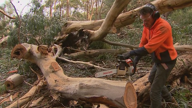 Victoria storms floods