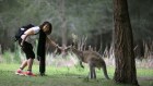 Harmonising the visa process for tourists could encourage more visits to Australia and New Zealand, TTF says.