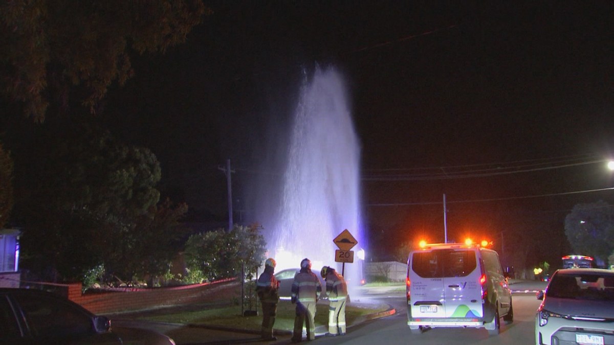 Alleged drink driver crashes into fire hydrant in Melbourne | Nine.com.au