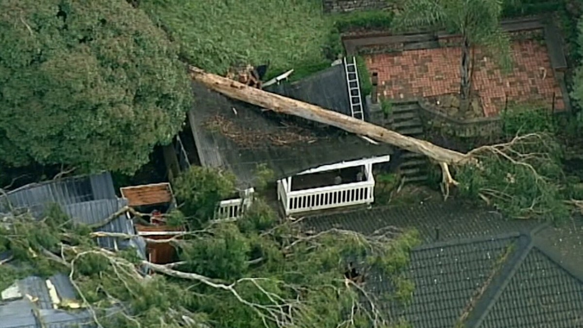 Power outages Victoria: Thousands of homes in darkness after wild storm ...