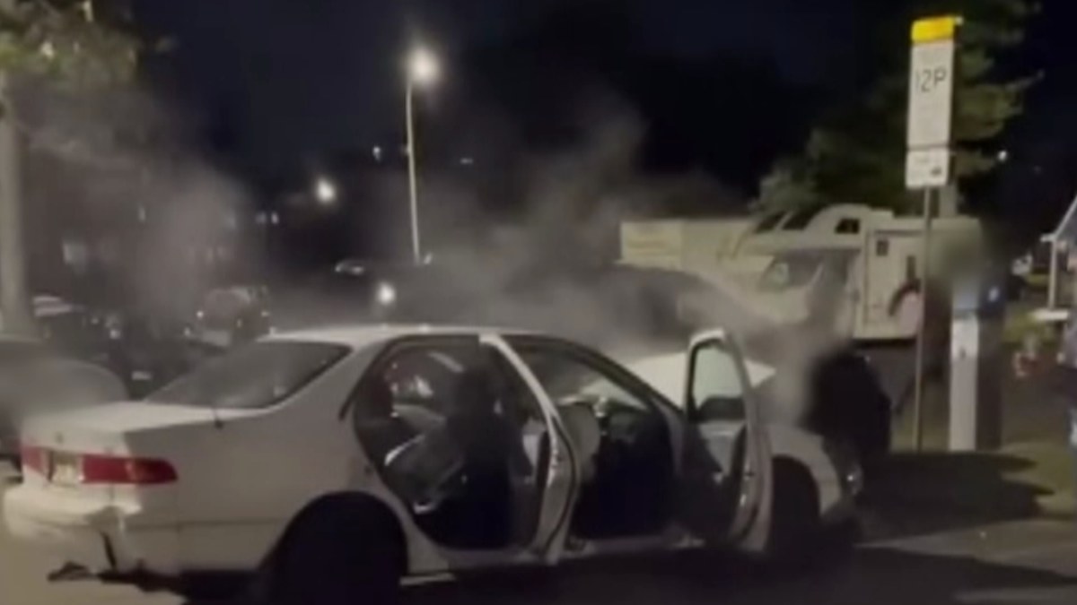 Dee Why: Two teens charged after alleged pursuit ends in crash in ...