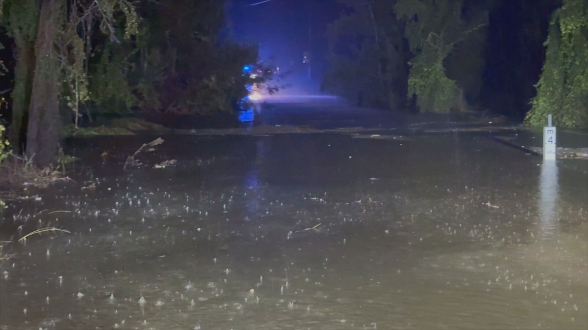 Hunter floods: Body found in search for Chinese national missing in NSW ...