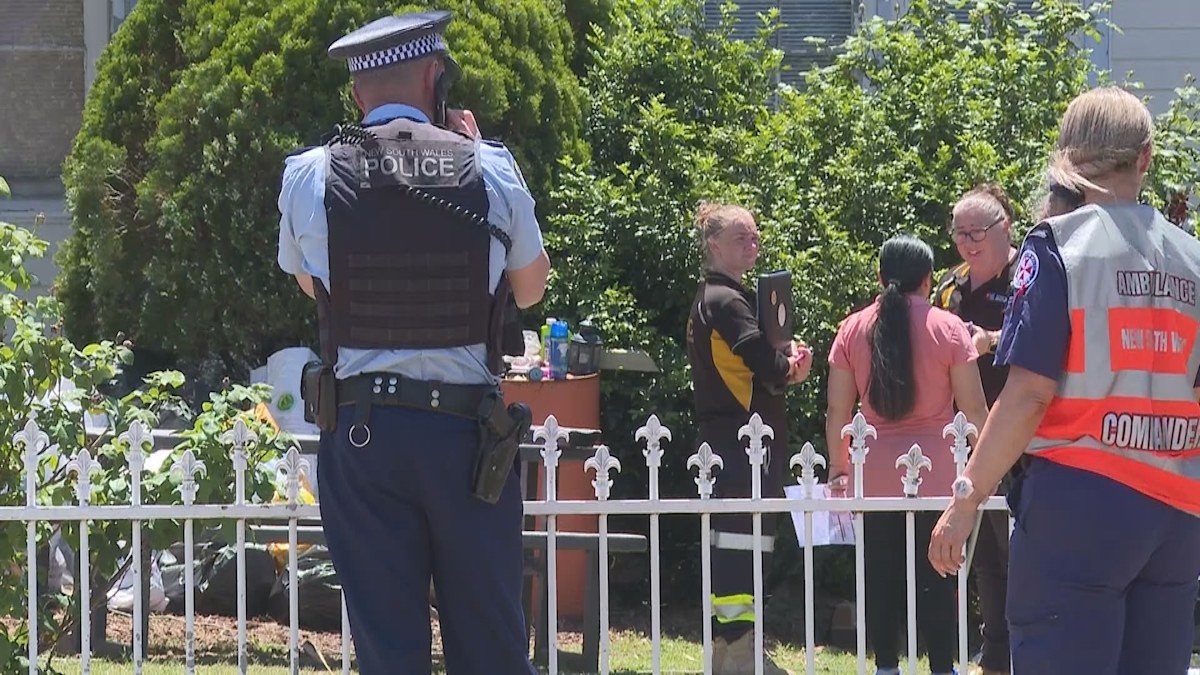 Sydney dog attack: Man in critical condition after being attacked by ...