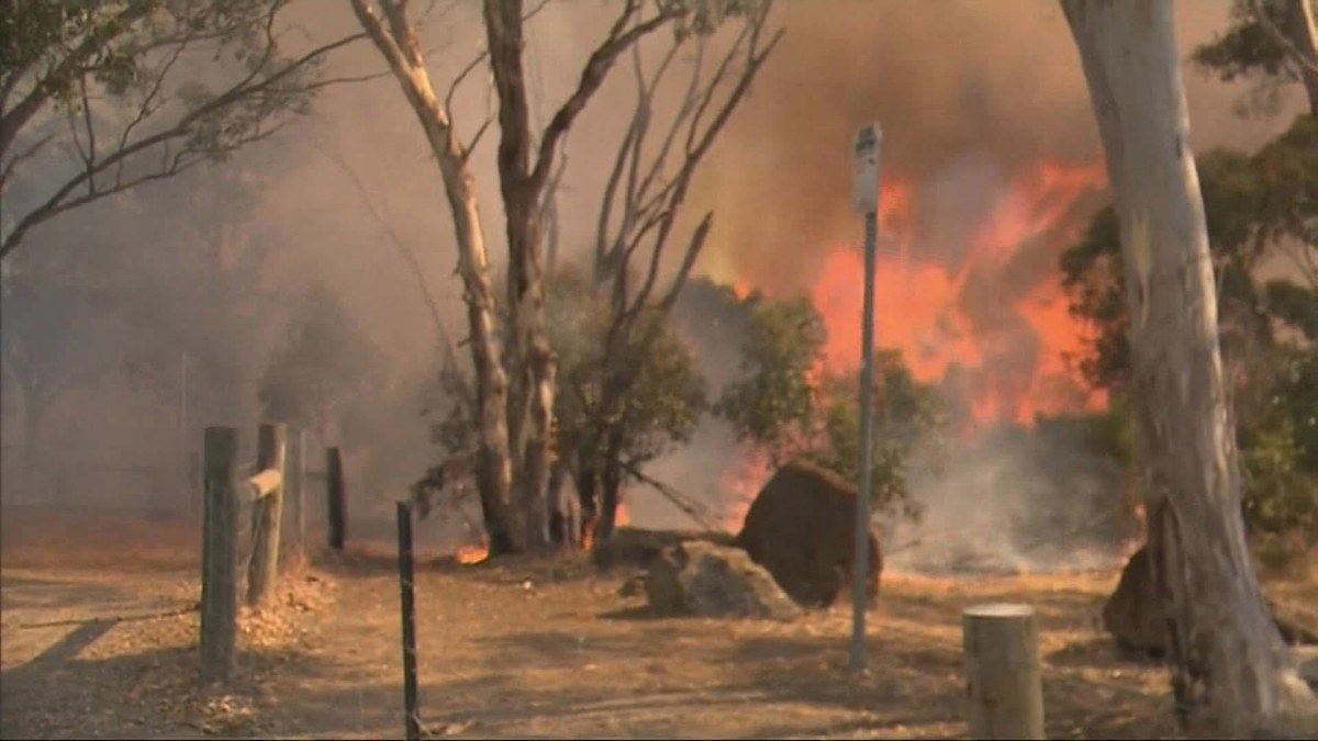 South Australia bushfires: SA under extreme bushfire danger with record ...