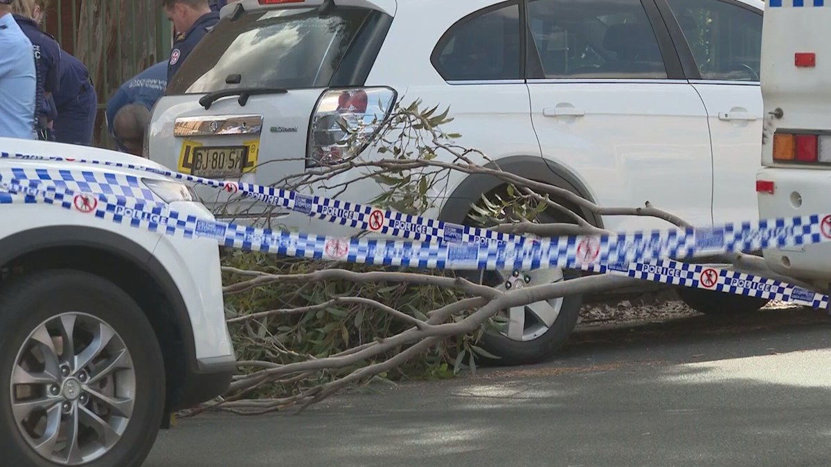 Liverpool: Woman killed by falling tree branch in Sydney's south-west ...