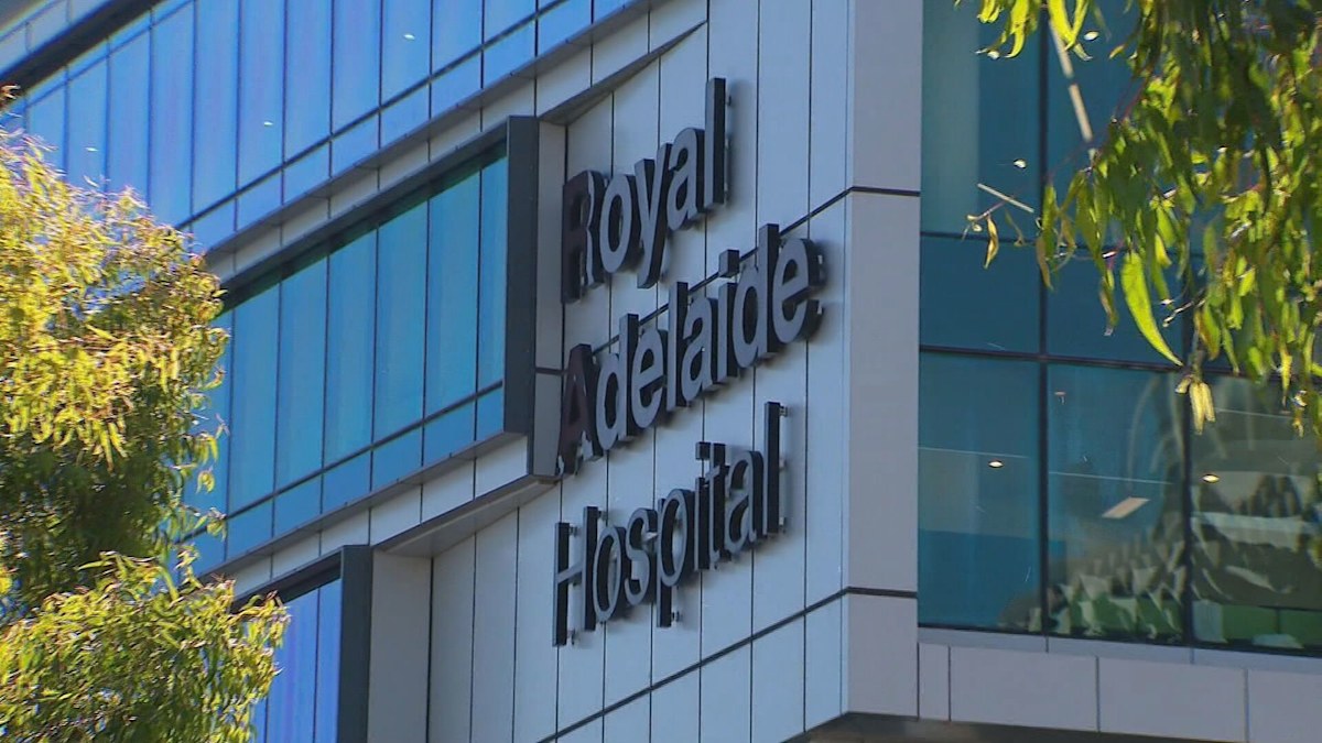 Adelaide doctors fear dire hospital crisis is 'just the beginning ...