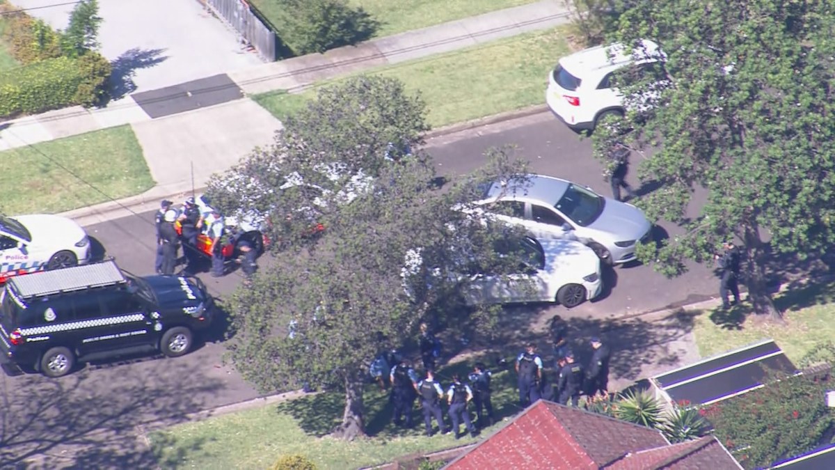 Concorde Car Chase: Two police cars rammed by 19-year-old in allegedly ...