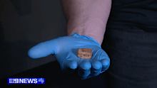 A three-decade-old bone unearthed at the Murchison House Station near Kalbarri, Western Australia, has unlocked a 100-million-year-old story. 